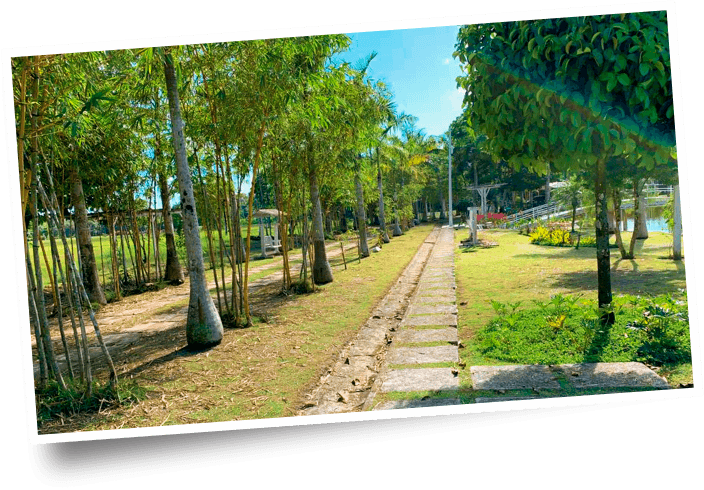 Pessoa em momento de paz